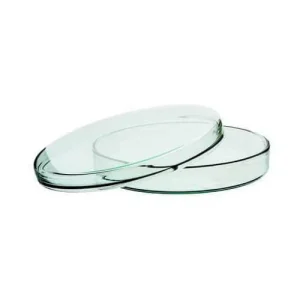 Glass Petri Dish 60 mm for Lab Use