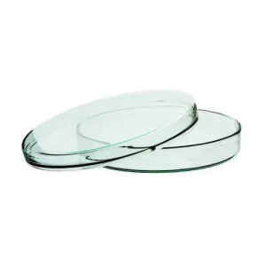 Lab Glass Petri Dishes 90 mm for Biology Lab